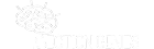 Section Genies