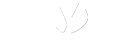 Yellow Multimedia Services